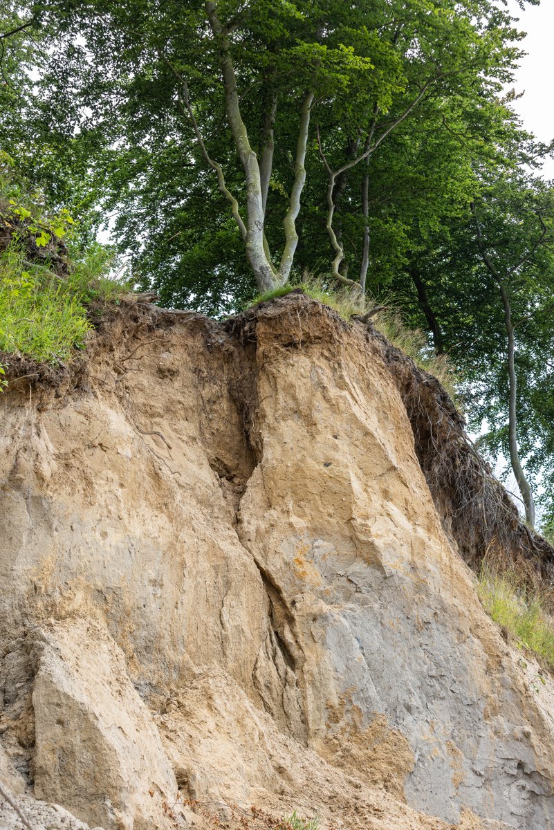 allavoro_de's tweet photo. 2/x
Nach der letzten 'Jahrhundert-Sturmflut' brach vieles weg, seitdem ist es nicht unbedingt besser geworden. Der #Eitz hat sich ziemlich verändert. https://t.co/sdc9i3rsdi