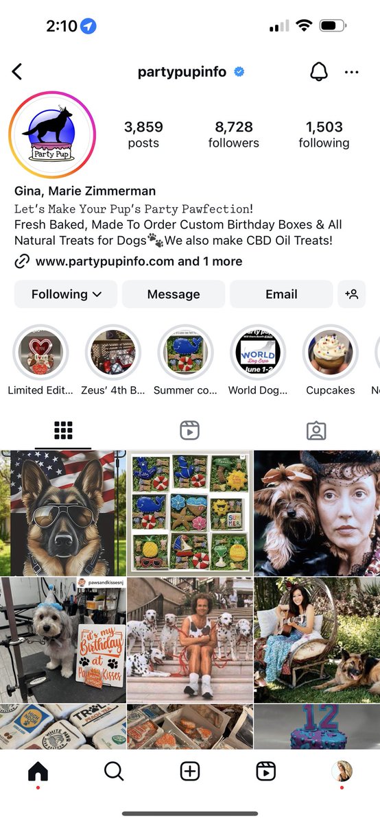 partypupinfo's tweet photo. We’re verified on Instagram!!! https://t.co/bXvs3X5Fk2