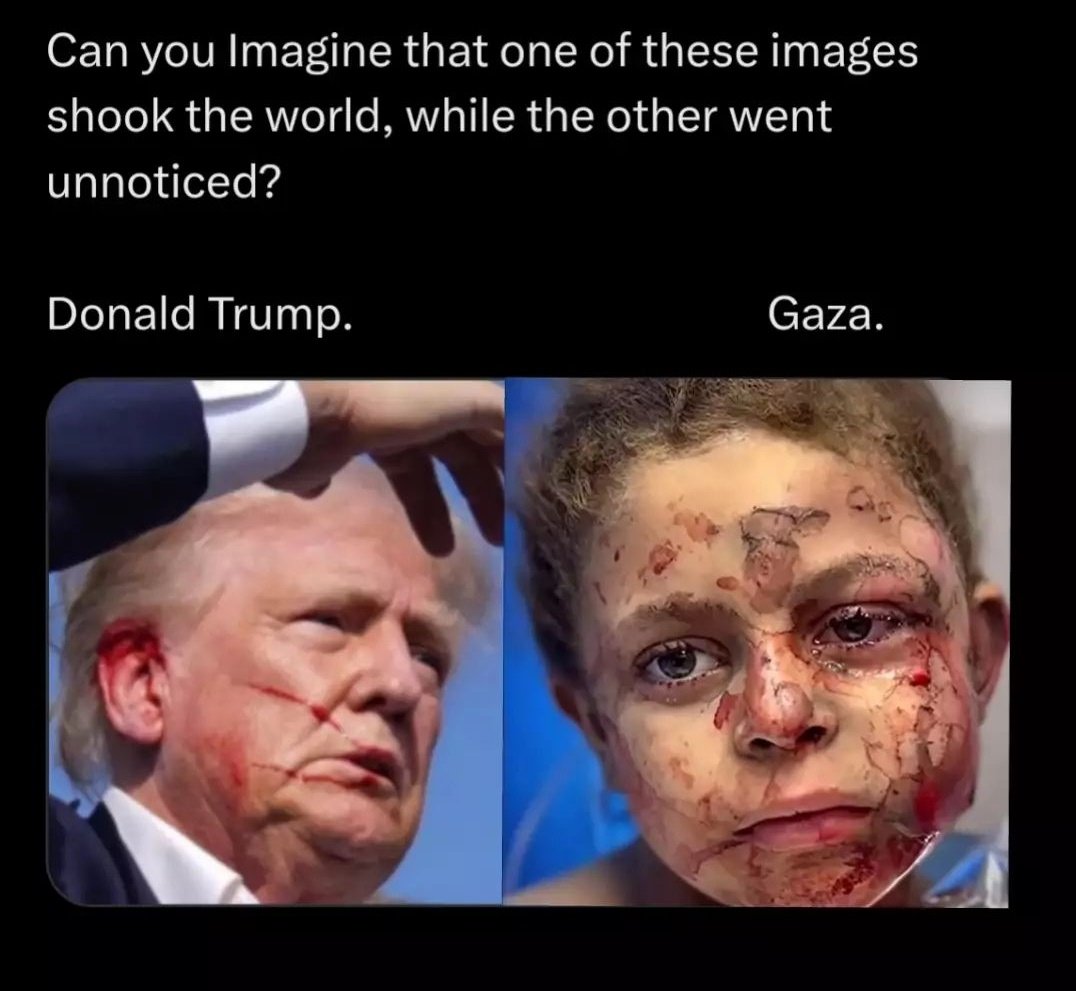 Social Rights Ireland 🇮🇪 🇵🇸 (@socialrightsirl) on Twitter photo 