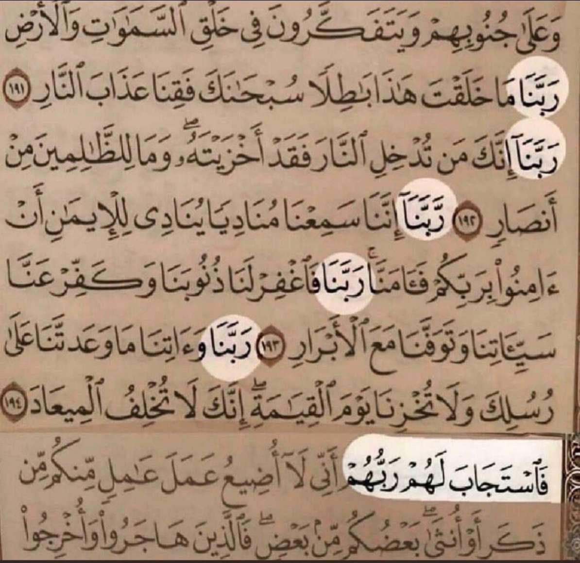 Reemo___M's tweet photo. متفائلة بربي و عوض ربي الحمدلله🤍 https://t.co/gGy8yex20O