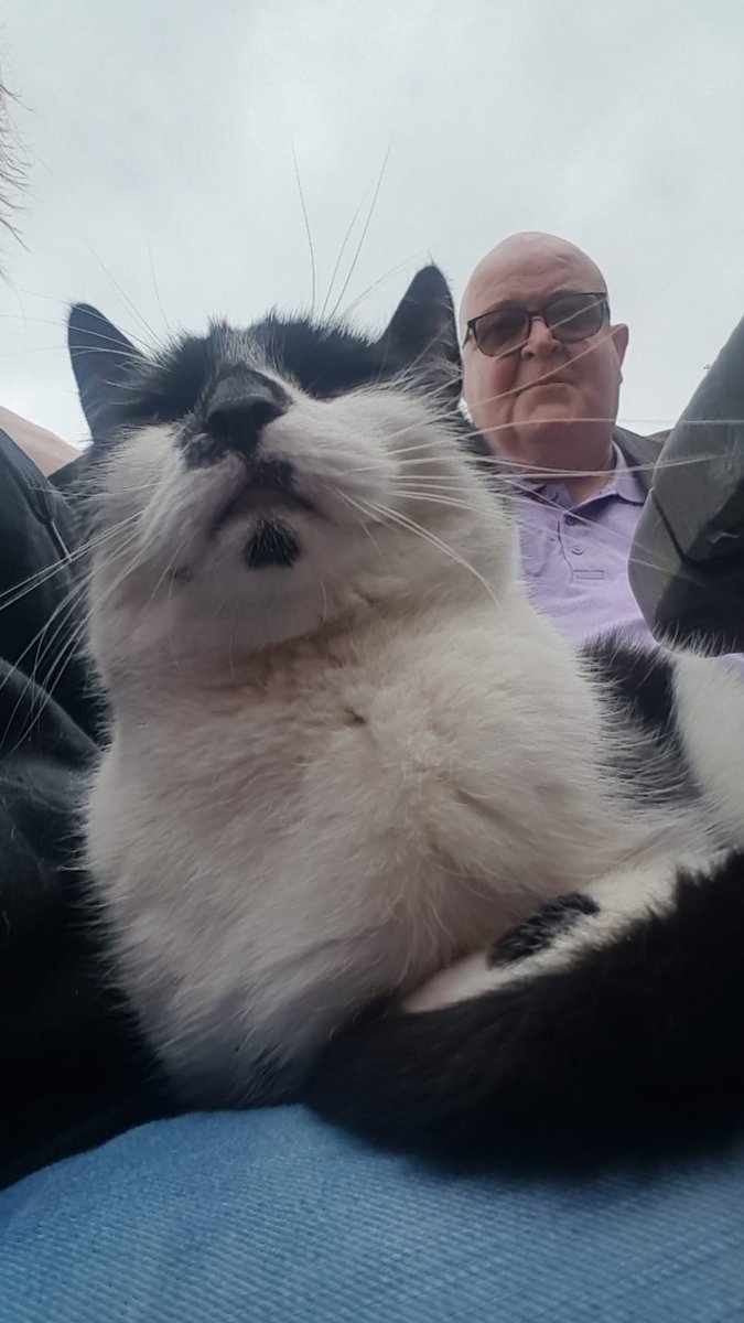 Michael D Andrews tweet media