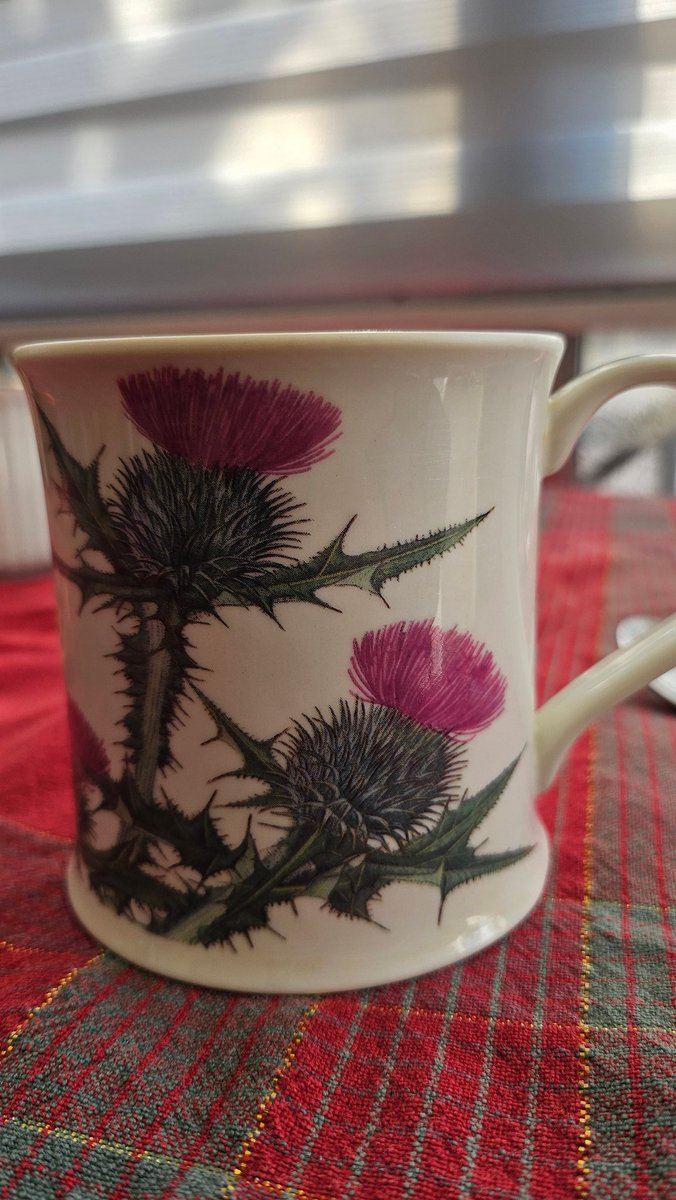 thistle_thirst's tweet photo. 💖 https://t.co/PgOk4N0Vfo
