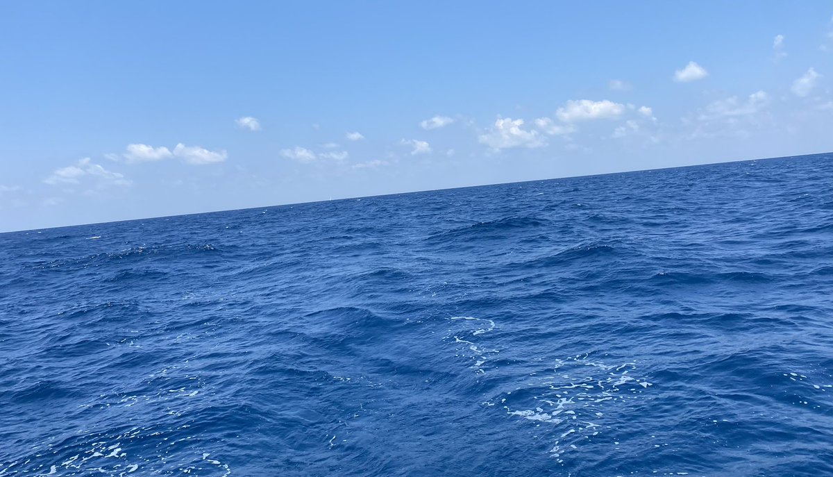 Inbar Investing tweet media