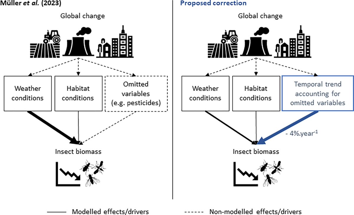 François Duchenne (@f_duchenne) on Twitter photo This is now published in <a href="/InsectDiversity/">Insect Conservation and Diversity</a> in open access
doi.org/10.1111/icad.1…
We proposed a correction to the article of Müller et al.: weather conditions do not explain long term decline in @insect biomass, but explain the inter-annual variability This is now published in <a href="/InsectDiversity/">Insect Conservation and Diversity</a> in open access
doi.org/10.1111/icad.1…
We proposed a correction to the article of Müller et al.: weather conditions do not explain long term decline in @insect biomass, but explain the inter-annual variability