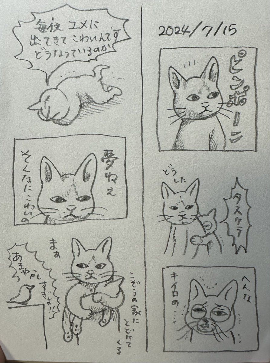 ヒグチユウコ ボリス絵日記 原画 ボリス絵日記 – ボリス雑貨店