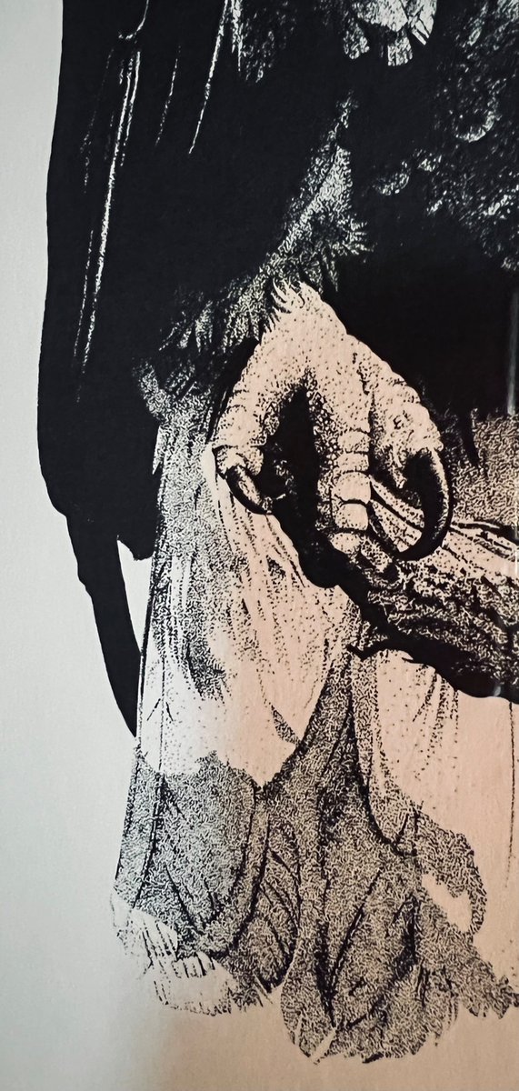 PullTheShade3's tweet image. The talons are cutting deep.
#SoarwithEagles