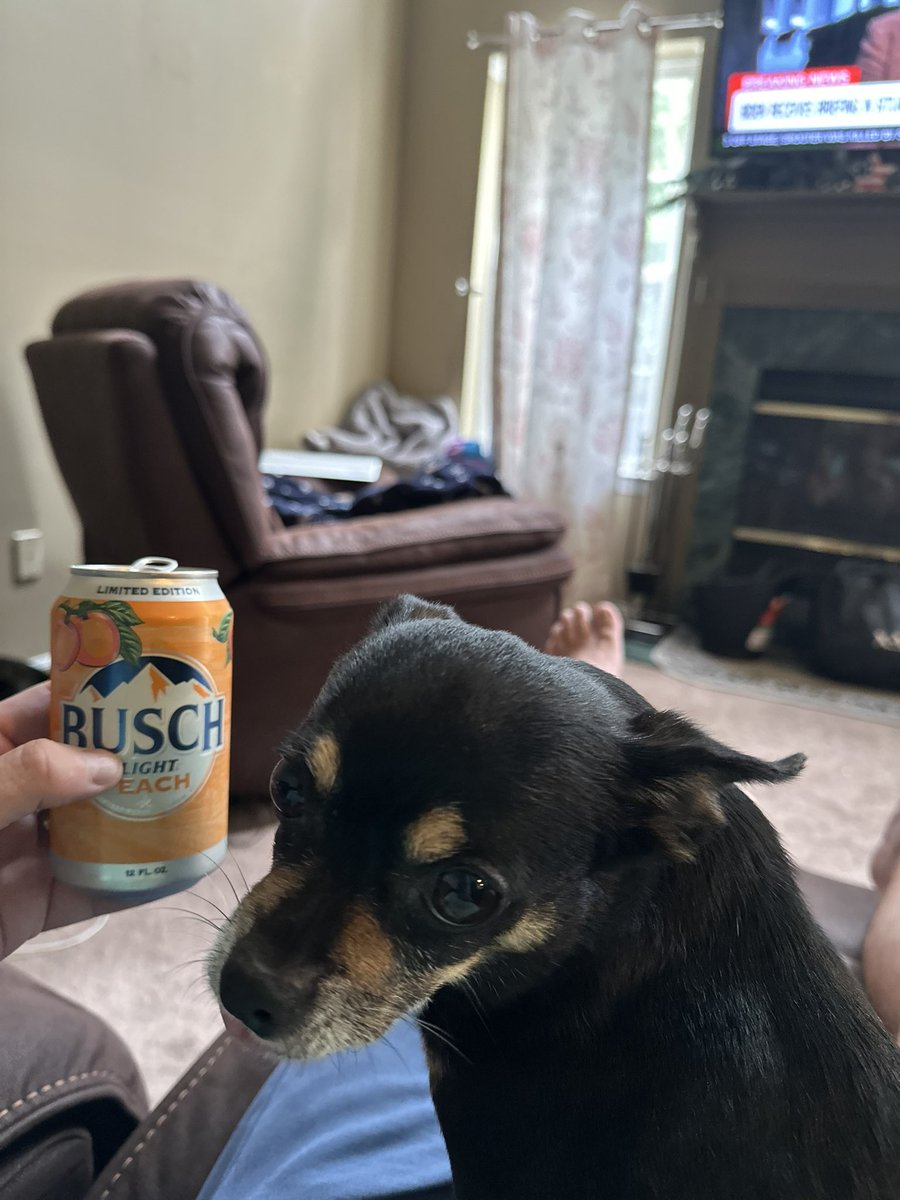 Ugly_Recruiter's tweet photo. @BuschBeer the look when you find out Busch Light Peach is discontinued. https://t.co/zvHqCivje5
