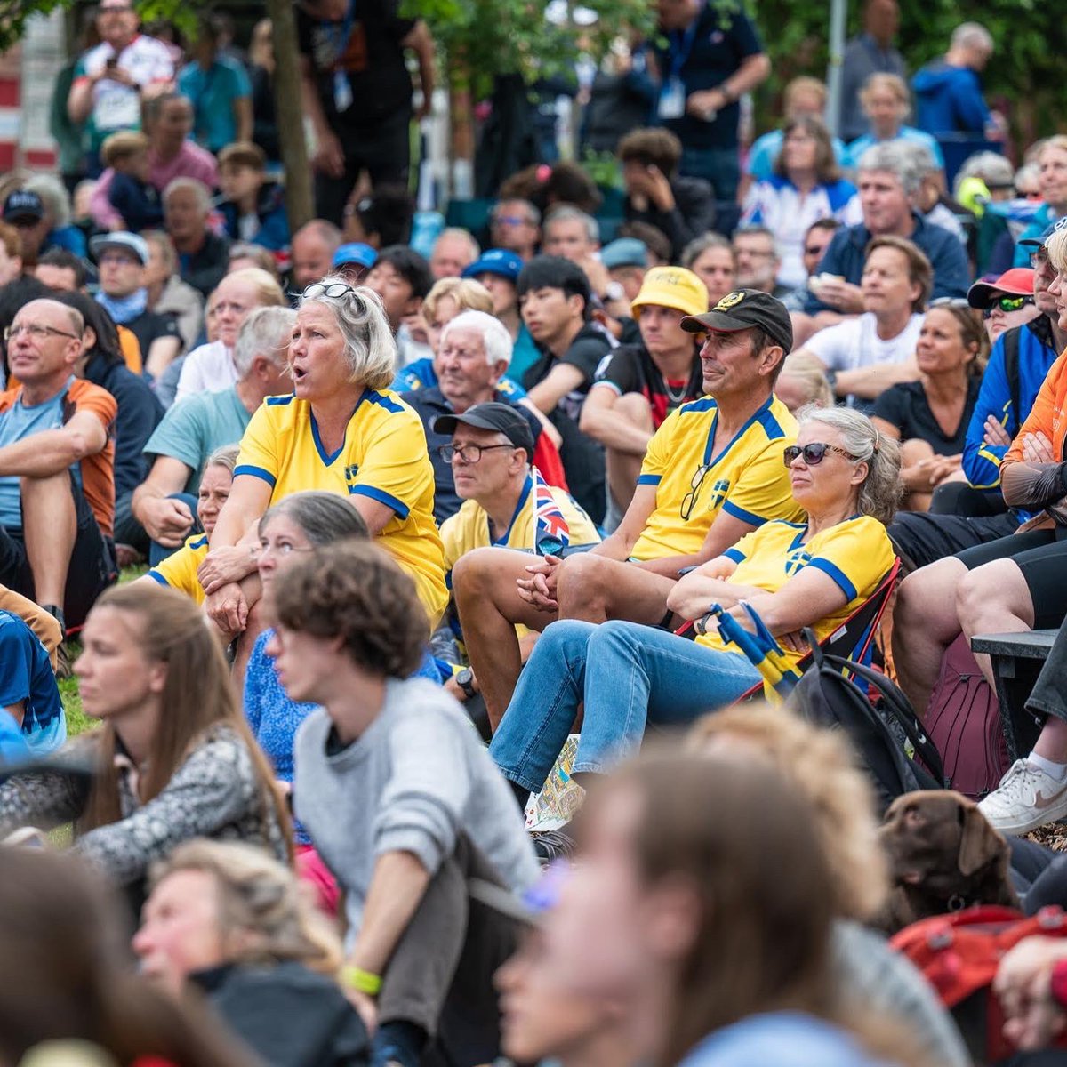 WOC2024 (@woc2024) on Twitter photo Another amazing day of racing had ended, congratulations to all the medallists and podium sitters ๐
One more day of racing to go, the Knock-Out Sprint. Tuesday 16 July, mark your calendars!
๐ธ <a href="/IOForienteering/">IOF Orienteering</a> / Kristina Lindgren Another amazing day of racing had ended, congratulations to all the medallists and podium sitters ๐
One more day of racing to go, the Knock-Out Sprint. Tuesday 16 July, mark your calendars!
๐ธ <a href="/IOForienteering/">IOF Orienteering</a> / Kristina Lindgren