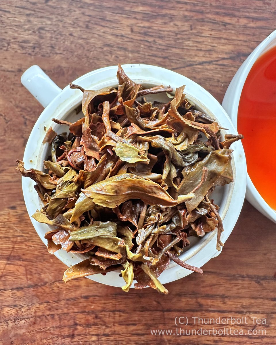 darjeelingtea's tweet photo. Darjeeling's Second Flush 2024 is here and still more are arriving! 🇮🇳 This bold brew is perfect for summer - full-bodied with delicious muscatel flavors like grapes, peaches & honey. 🫖 A luxurious taste sensation! #DarjeelingTea #SecondFlush #India #TeaLover https://t.co/KOMJZBW8Pn
