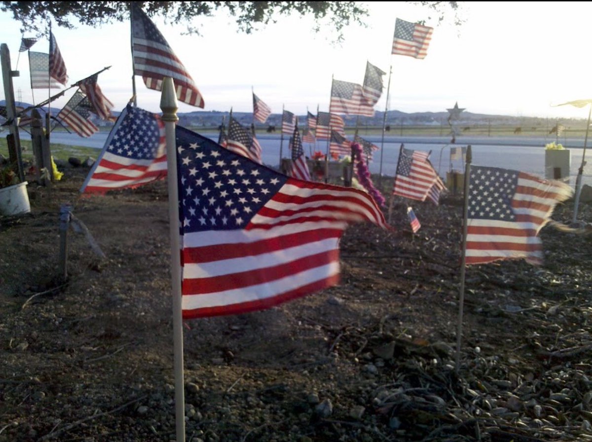 KrystalRyanMU's tweet photo. @MittRomney They just destroyed one of our Veteran Memorials here in California! This happened sometime last night. This Veteran Tree has been here over 20 years! Disgusting. Before &amp; After https://t.co/ro7hB5J67E