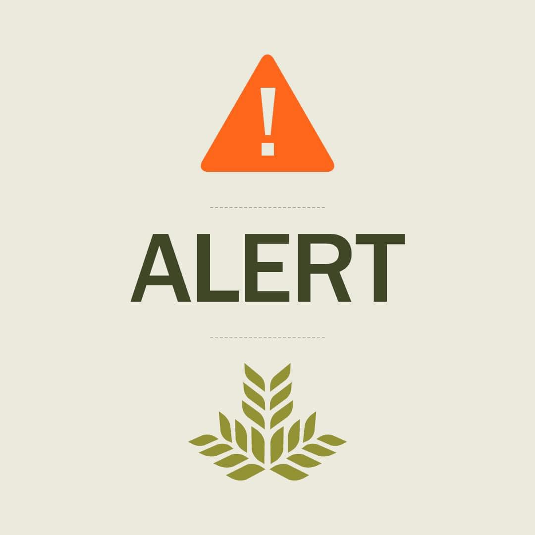 myNGHS's tweet photo. We are currently experiencing intermittent issues with communications systems at all Northeast Georgia Health System locations. Learn more at https://t.co/sV9vxJBMuX. https://t.co/zln5TpmJtf