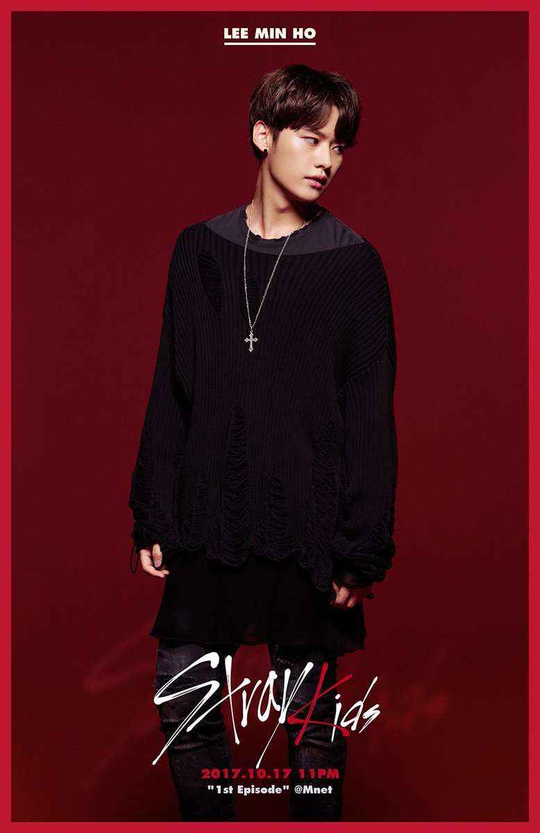 ˢᵗʳᵃʸ ᵗᵘʳᵗˡᵉ tweet media