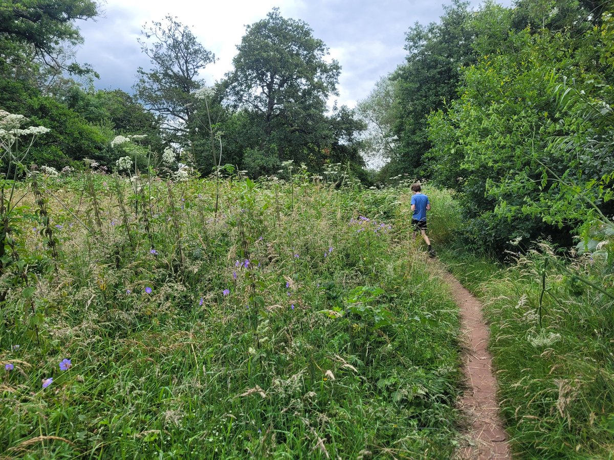 QueenofBloranj's tweet photo. Had company for my #VRC today, @runningpunks 🙂 He was feeling a little delicate. 
Ran most of @biggytimmkins Green Man route in reverse (no, not running backwards), followed by lunch in Crickhowell 😋
🎧 @stereolabgroop : ETK - a 10/10 album 👌
#RunATWorld @WeAreRunThings https://t.co/VQxRjt4NWX