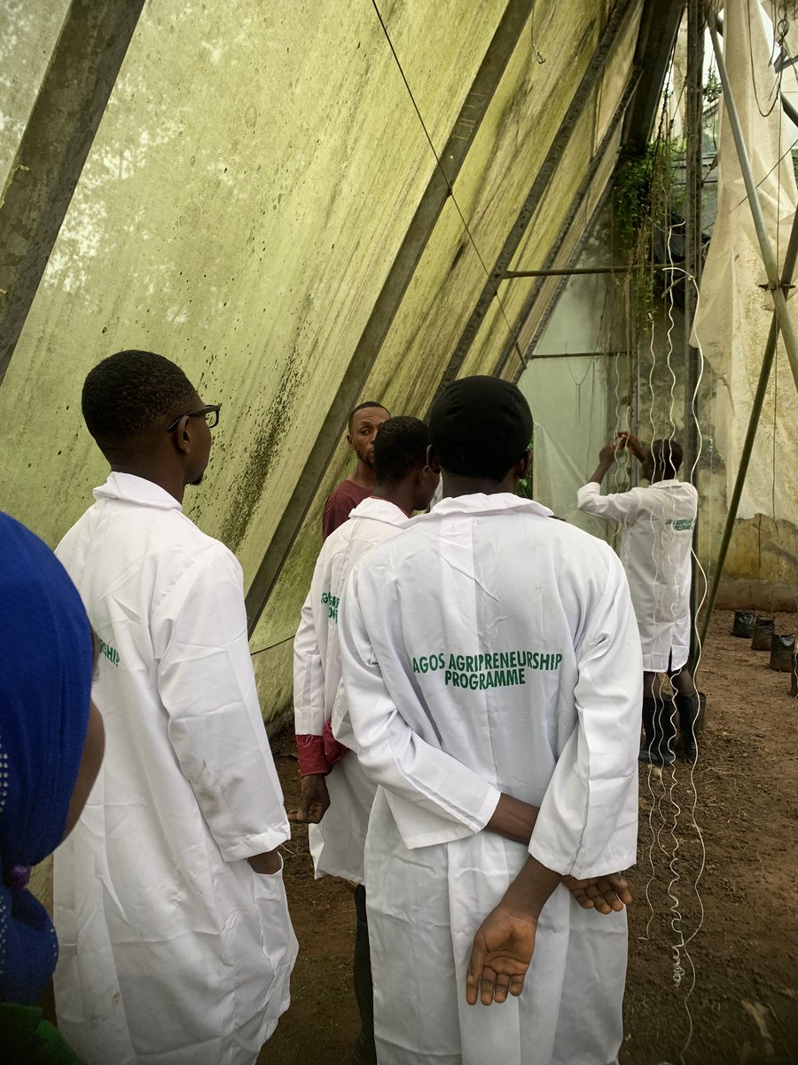 mrtokx's tweet photo. Week one of the Lagos State Agripreneurship Programme was amazing! We learned so much about aquaculture, poultry, vegetables, and feed formation. Excited for more knowledge this week. Thank you @followlasg  #LAP20 https://t.co/eKj2qLzBzM