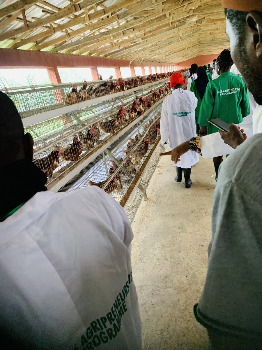 mrtokx's tweet photo. Week one of the Lagos State Agripreneurship Programme was amazing! We learned so much about aquaculture, poultry, vegetables, and feed formation. Excited for more knowledge this week. Thank you @followlasg  #LAP20 https://t.co/eKj2qLzBzM