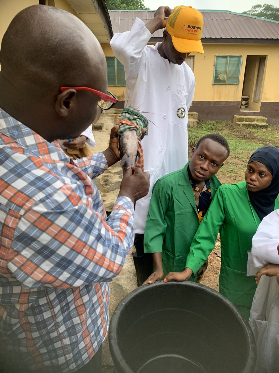 mrtokx's tweet photo. Week one of the Lagos State Agripreneurship Programme was amazing! We learned so much about aquaculture, poultry, vegetables, and feed formation. Excited for more knowledge this week. Thank you @followlasg  #LAP20 https://t.co/eKj2qLzBzM