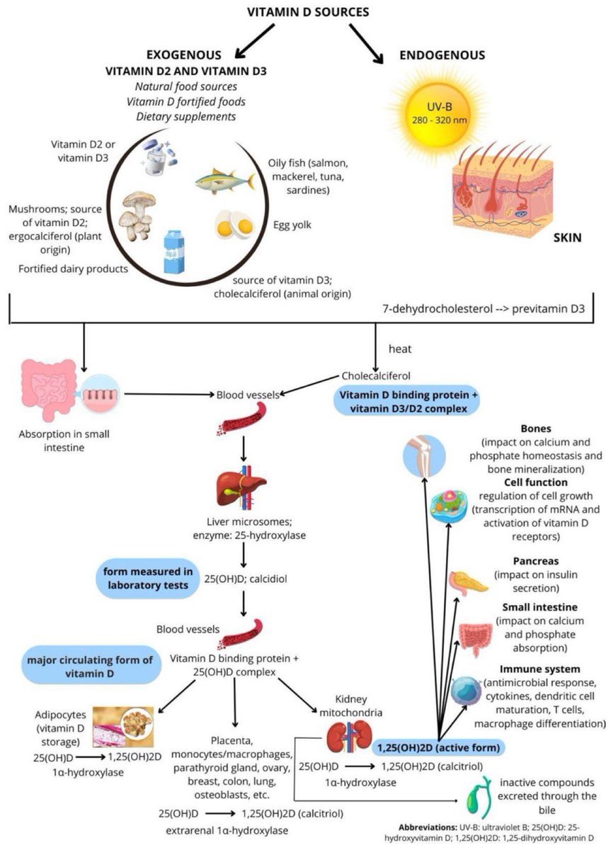Vitamin D sources

#Nutrition #Food #nutrients #VitaminD #InnoConf24