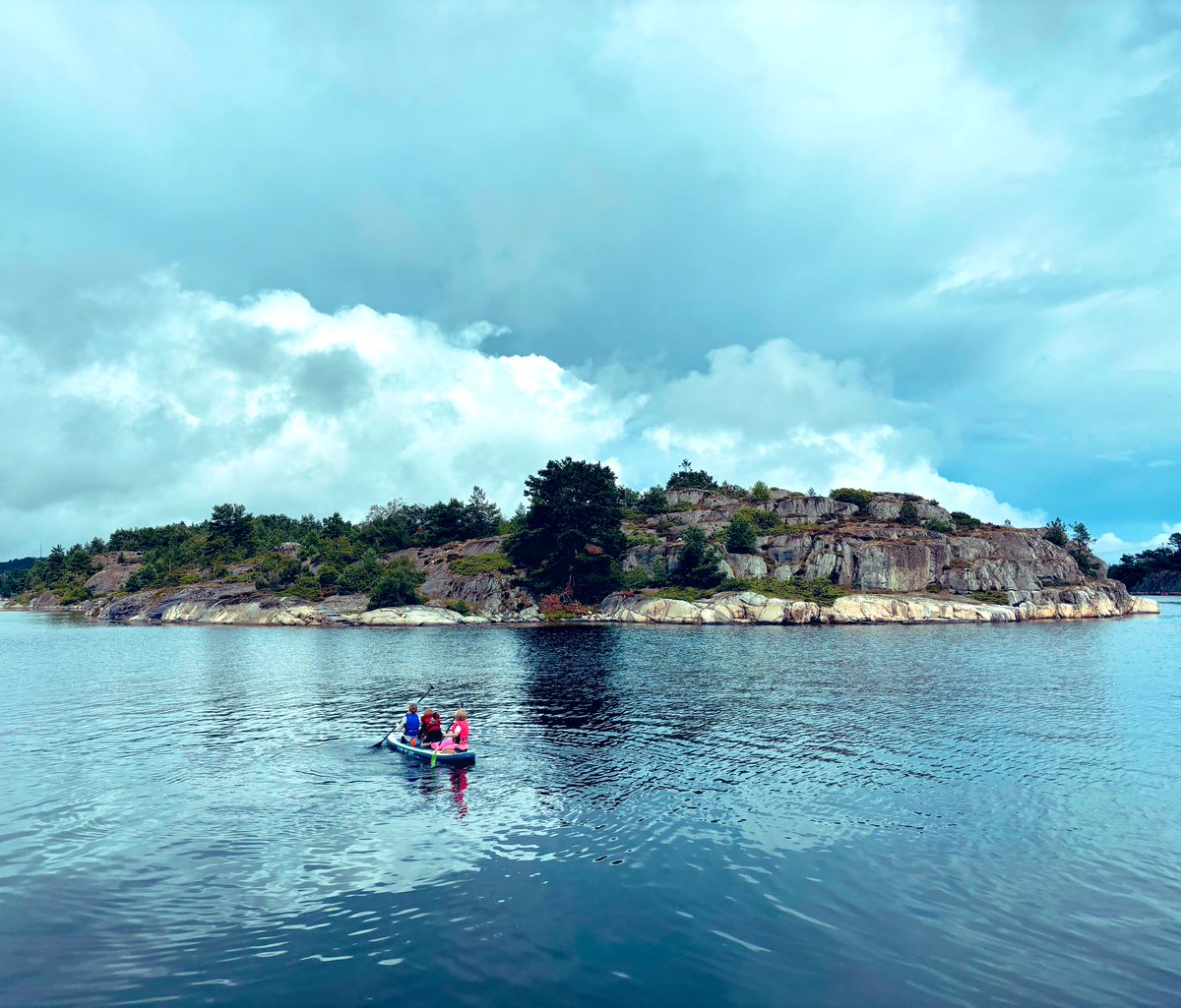 Abi Elphinstone tweet media