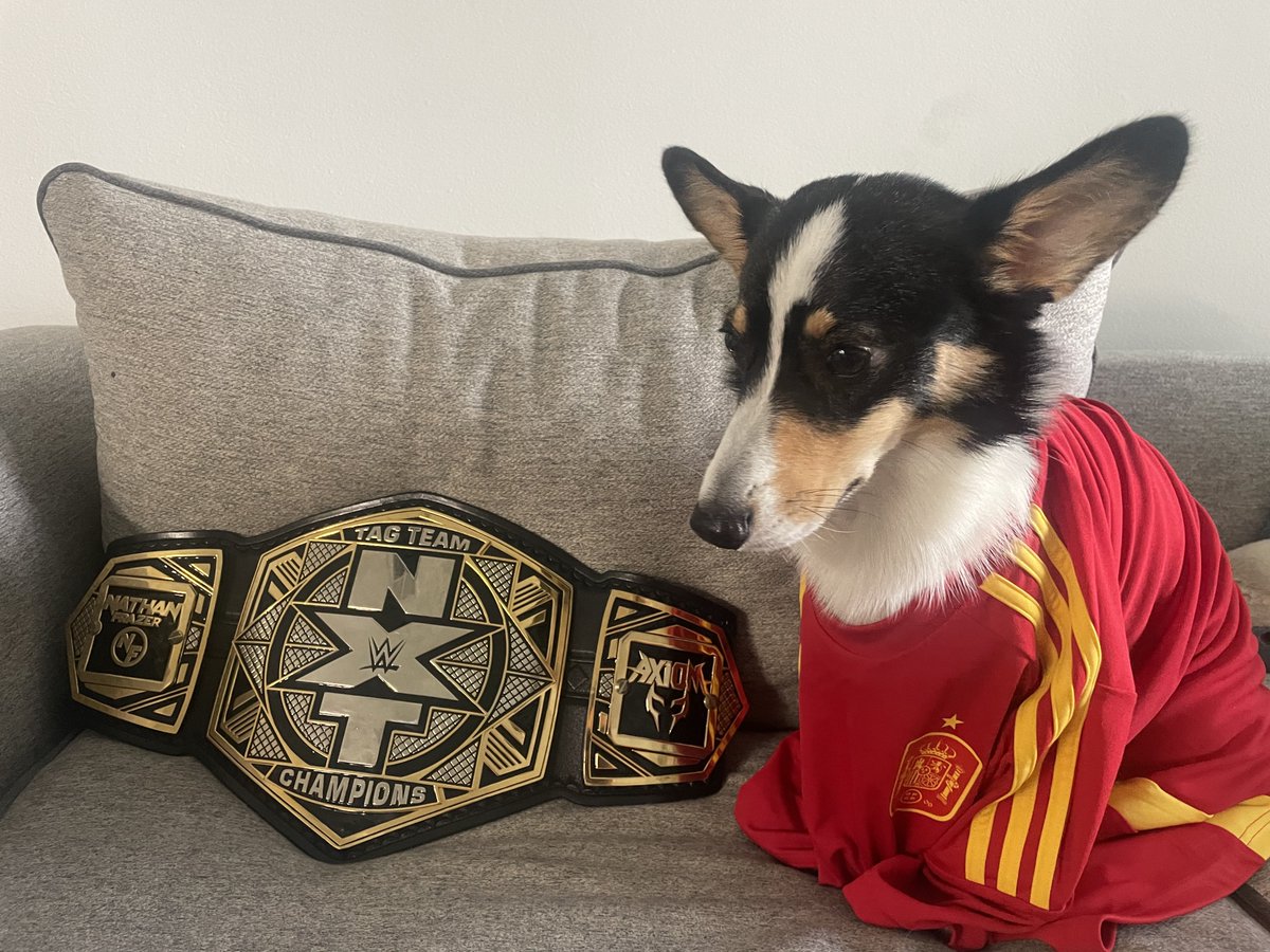 Axiom_WWE's tweet photo. He woke up today and decided he wants more titles. 
So here we go for the #EUROS2024 #ESPENG https://t.co/XQ3yby2CeE