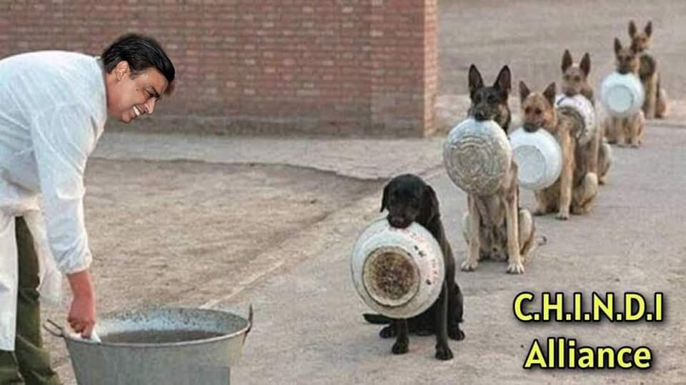 nitinmishraup's tweet photo. अम्बानी के बेटे की शादी मे चिंदी अलायंस वाले 😂 https://t.co/iv93bqnfPV