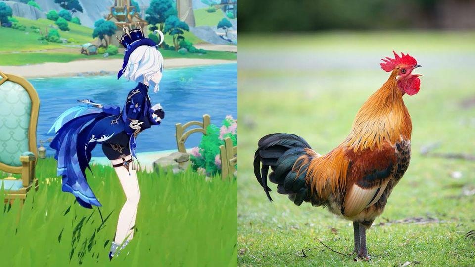 MadamZ_R1999's tweet photo. "her design doesn't represent Fontaine"

yeah sure cause she’s supposed to represent a fcking rooster! yall so d*mb! https://t.co/cWnN13sHzb