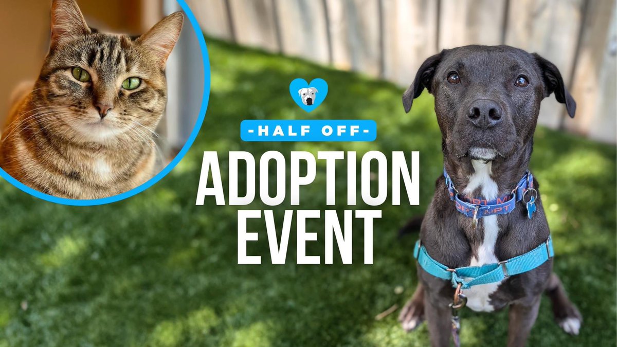 SATURDAY July 20th - join us at our Bucktown Adoption Center (2144 N Wood) for half off dogs AND cats! 🐾