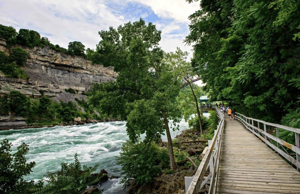 Jody Robbins tweet media