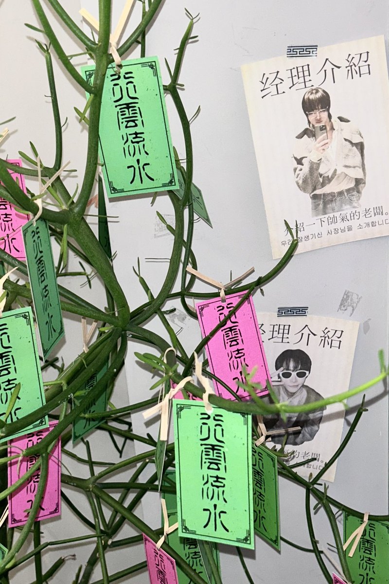 ໒꒱ tweet media