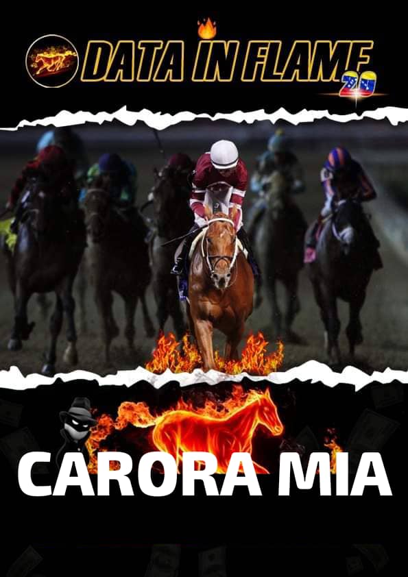 BestBetSPY's tweet photo. #Hipismo

6️⃣Carrera el dato mas caliente lo Defiende el 🏇🏼2 CARORA MIA👈🏽📝Destaca Por: Ejercicio/ Entrenador/ Jinete y % de Rendimiento

#LaRinconada https://t.co/3b0kfDlbOO