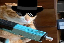 Martinjdk1's tweet photo. @ganussol @W0LF0FCRYPT0 https://t.co/x61wLKi3EI