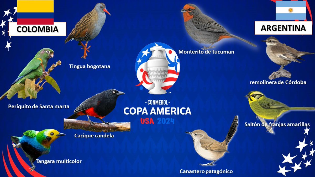 oswaldoaves's tweet photo. ¡Una gran fiesta se vivirá hoy! El futbol y la biodiversidad de nuestros países nos unen en armonía,  tolerancia y comprensión entre nosotros. 

Que gane la PAZ y Respeto 

 #VamosImparables🇨🇴 #ConLaTricolorPuesta 
#SelecciónColombia VAMOS CON TODA COLOMBIA!!!! https://t.co/SuRJeBn1sW