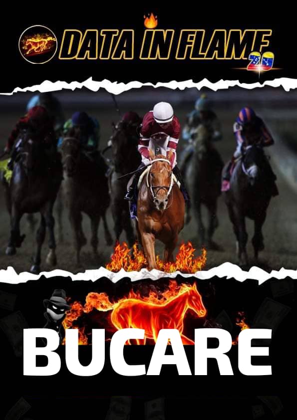 BestBetSPY's tweet photo. #Hipismo

7️⃣Carrera el dato mas caliente lo Defiende el 🏇🏼3 BUCARE👈🏽📝Destaca Por: Ejercicio/ Entrenador/ Jinete y % de Rendimiento

#LaRinconada https://t.co/fF703ypdID