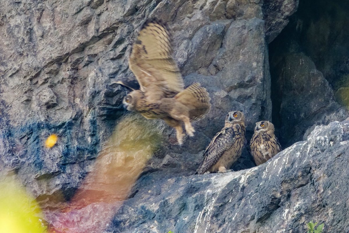 Paul Beiboer tweet media