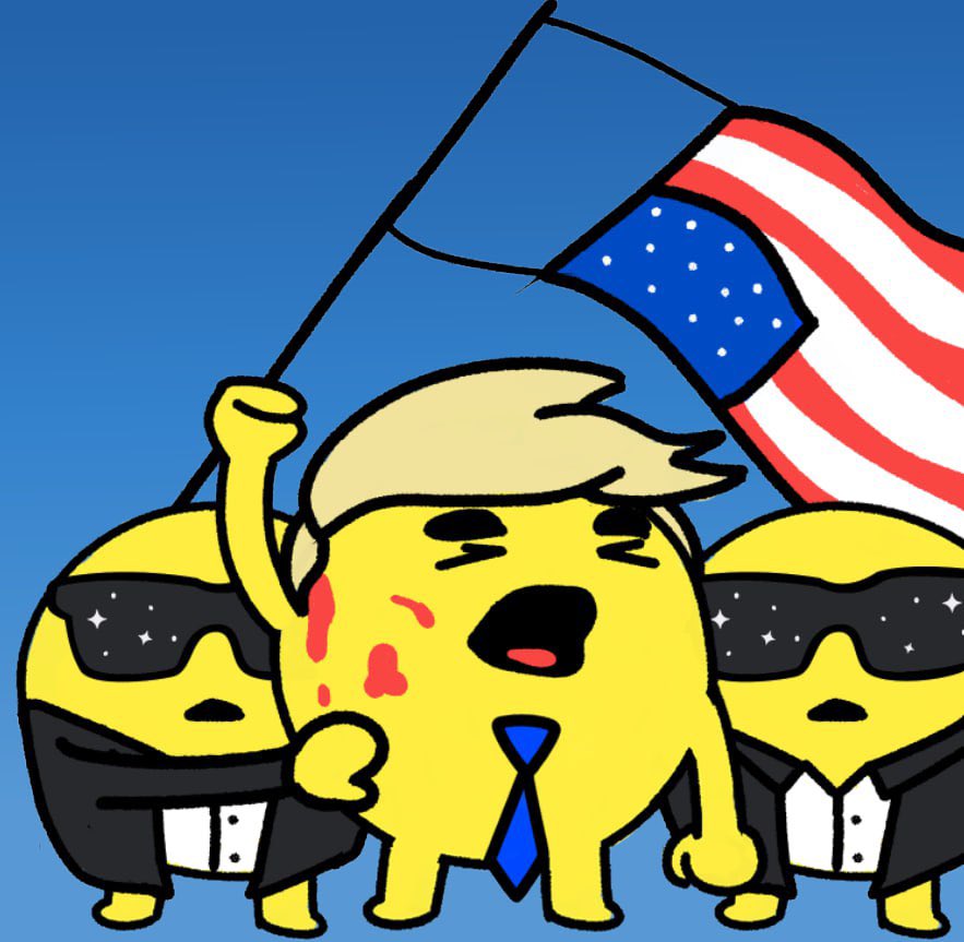 VA Beach Cardz tweet media