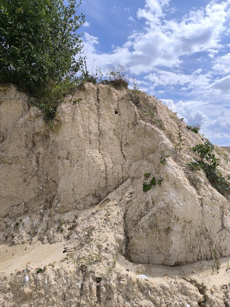 Tobias Erik Reiners tweet media