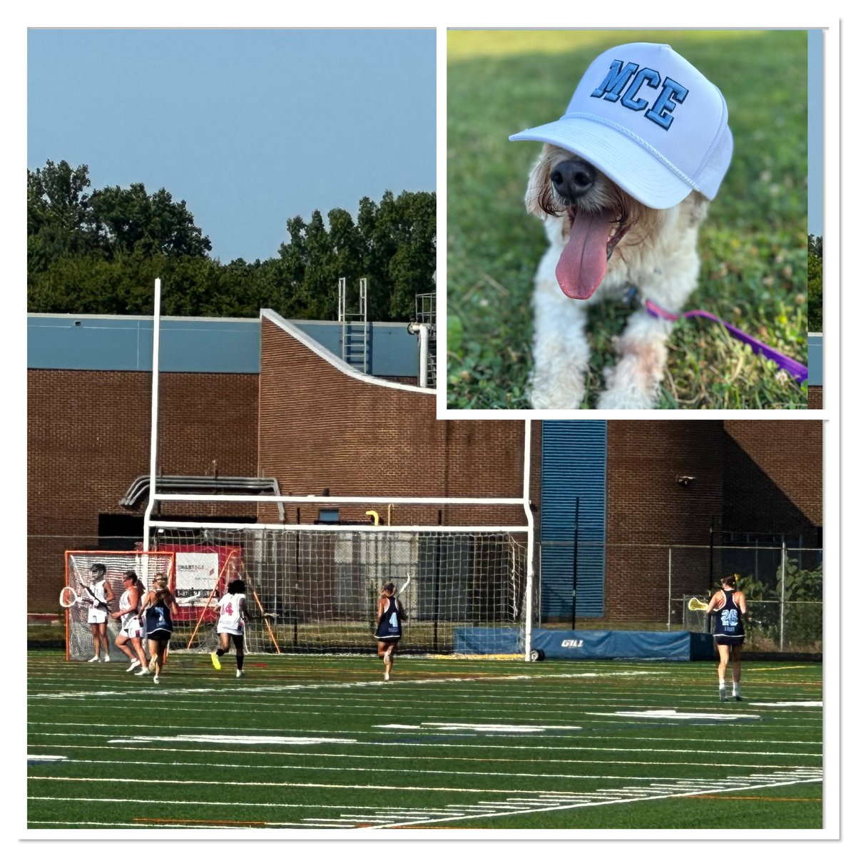 balcer_anne's tweet photo. The early start time didn’t mean it was any cooler for @BalcerMelli &amp; her @mcelitelacrosse 2027 teammates this morning for the last day of the Mid Atlantic Club Championships! ☀️🥍🎉#laxdog #hotdog #companion https://t.co/SE7qApIjD1