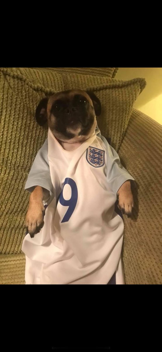 simonecasey19's tweet photo. @SkySportsNews 
#SSNThreeLions 
BELLA https://t.co/FNBy1g7QND