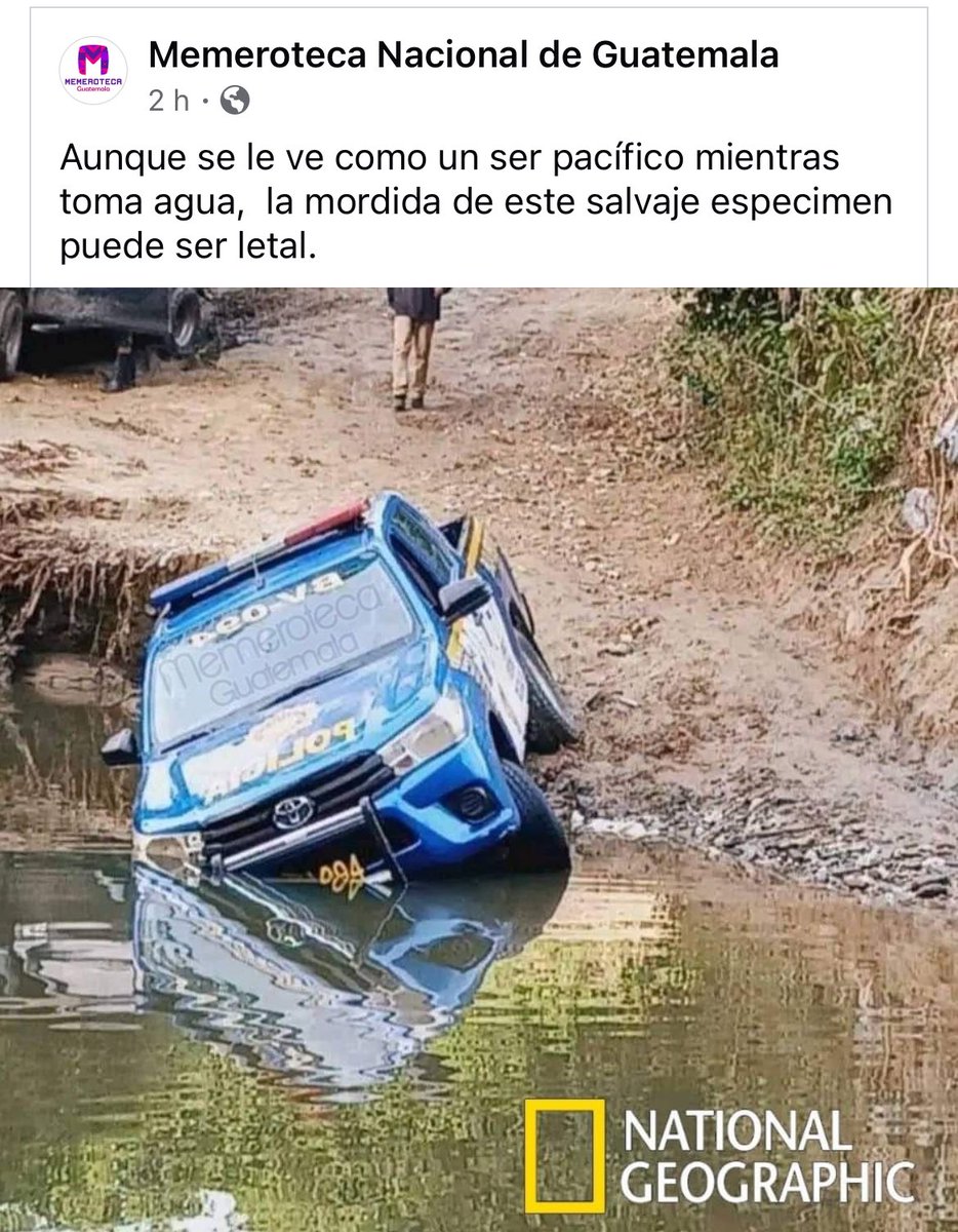 El meme del día. 😂🤣😂👌🏻👌🏻