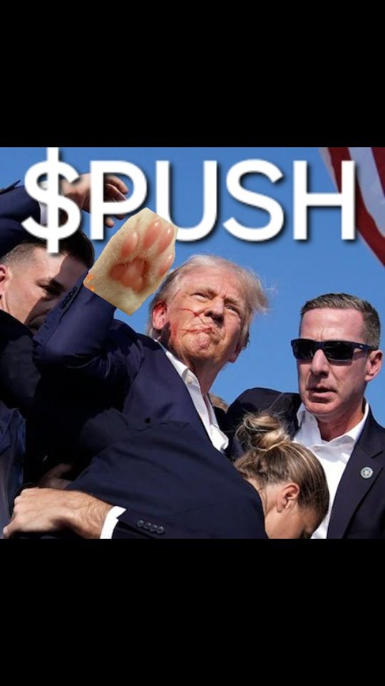 ÐJ dog food tweet media