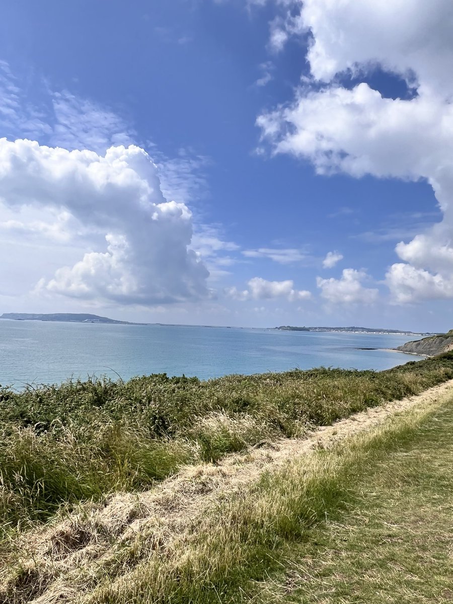 My new back garden for a few months 🫡