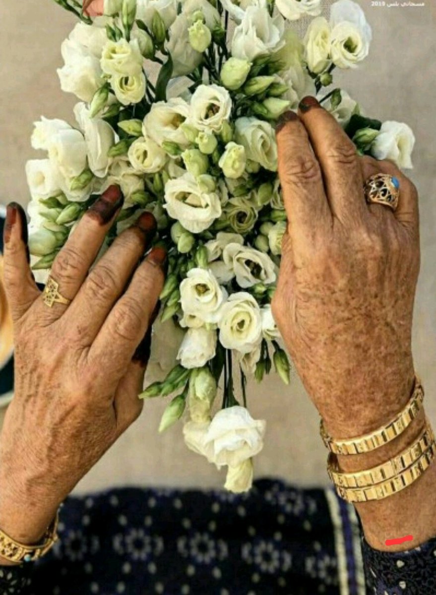 آلحلم المستحيل 🇸🇦 tweet media