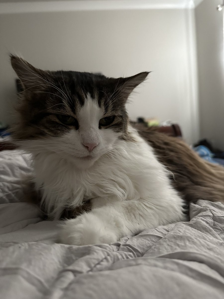 Guess we’re in bed all day