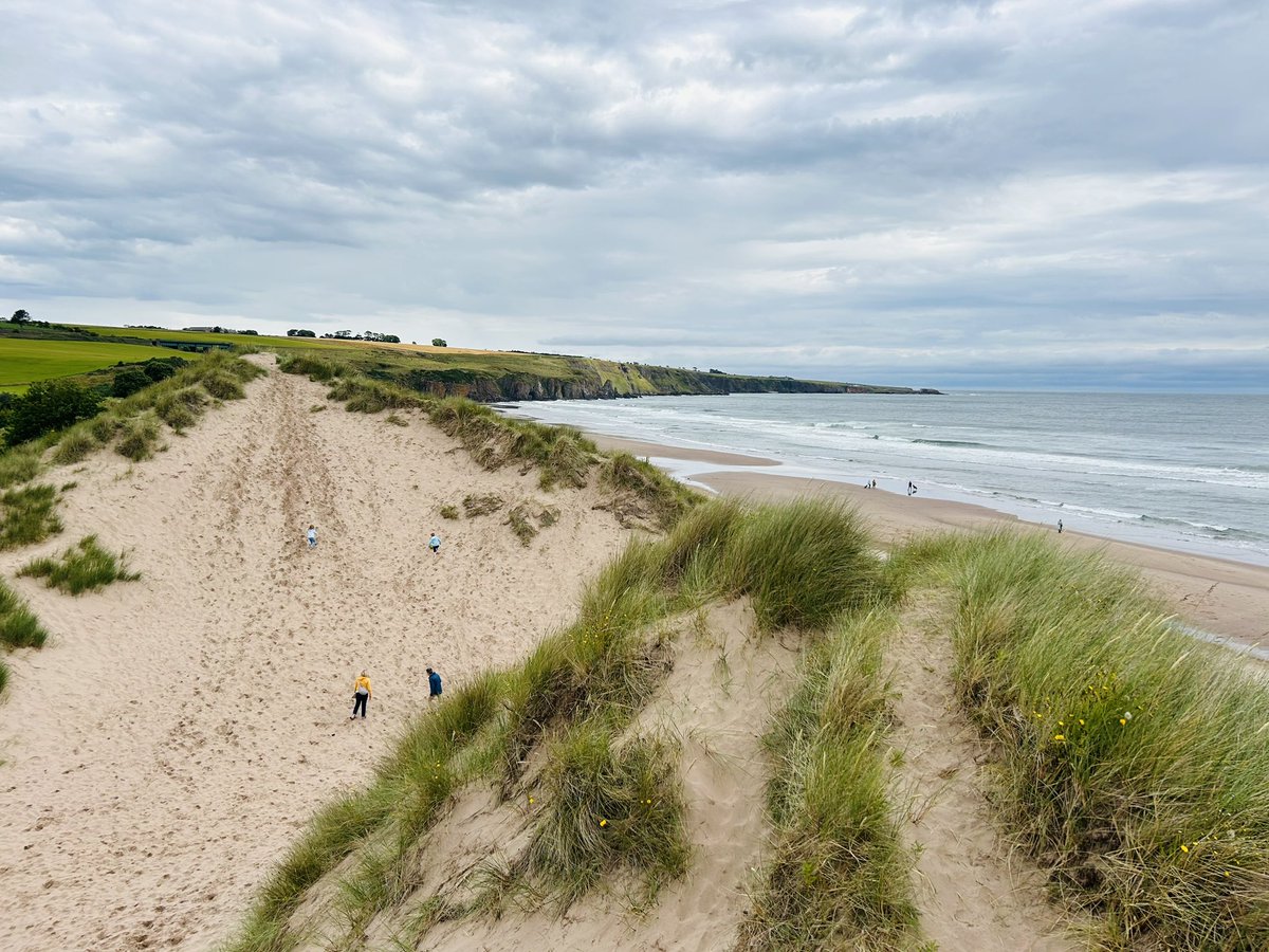 Sunday mornin runnin (well, crawlin 😂) ower the #LunanBay sand dunes wi the Young Team then a dip in the North Sea. Summer an itz stull fuckin baltic 😂🥶🥶🏴󠁧󠁢󠁳󠁣󠁴󠁿 #Scotland 
Gold medal performance fae ane o the lads who was on the pish tull 4am an stull made it withoot spewin 🍺🤮😂