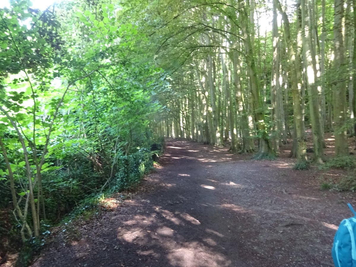tonytrl's tweet photo. A lovely walk with Glamorgan History Walks in Dinas Powys yesterday #glamwalks https://t.co/d6C7t3Oywm