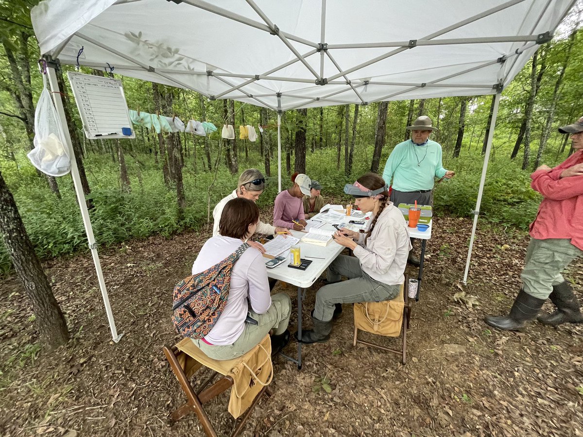 Dr. Maureen McClung tweet media