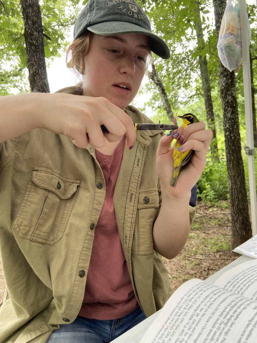 Dr. Maureen McClung tweet media