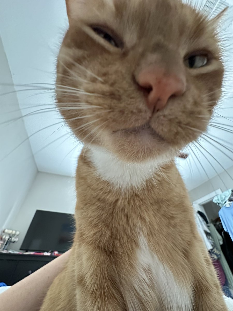 is this thing on? 🤨