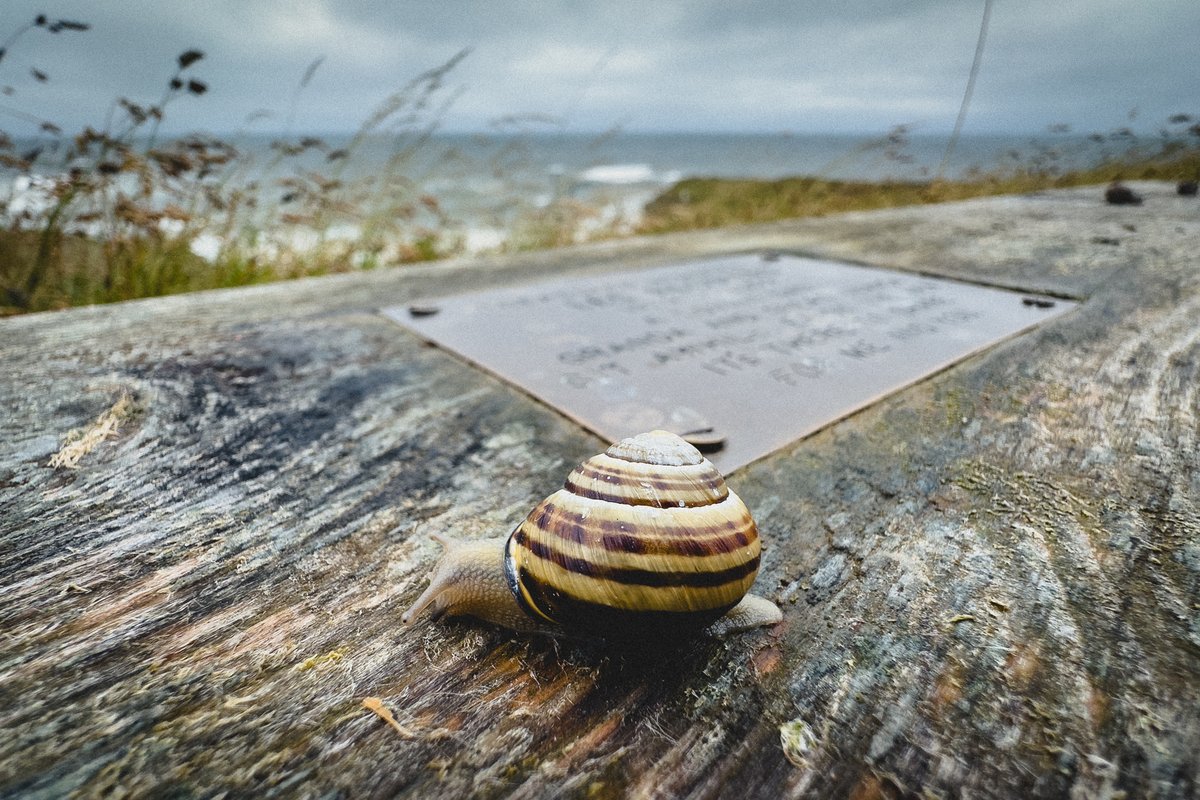 I swear I woke up this morning and the calendar had skipped forward to October