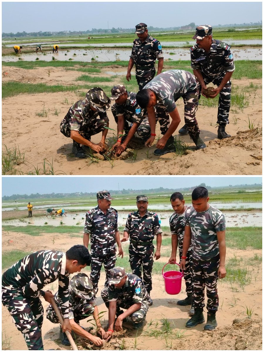 C_coy_20Bn's tweet photo. In the Ongoing Plantation Drive .Deputy Commandant Sh. O. Shobha Singh Planted Saplings for future in Balua village, under the AoR of 20 BN SSB Sitamarhi. The initiative aimed to raise awareness about the importance of planting trees and promote a greener environment. #20BNSSB https://t.co/yCdW0Mp0Ow