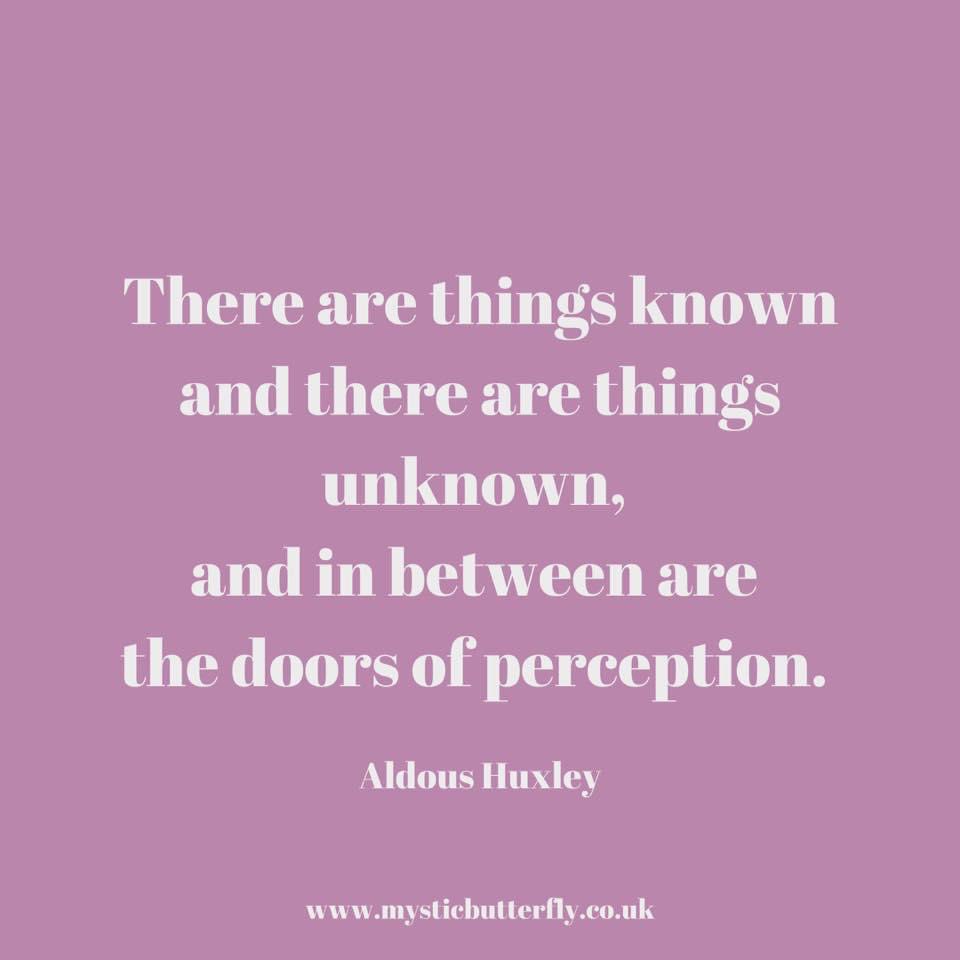 🌟 ⁣
⁣
#mysticbutterfly